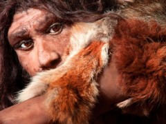 Vedci zistili, že skoro v každom z nás je kúsok neandertálca…