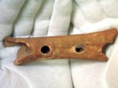 Prvú flautu vyrobili neandertálci