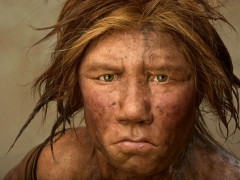 Neandertálci rástli rýchlejšie a oveľa skôr dospievali