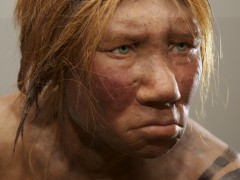 Medzi neandertálcami a ľuďmi žil ešte ďalší typ pračloveka