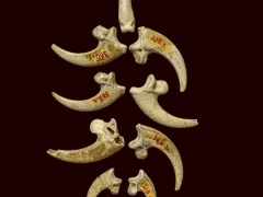 Použili neandertálci orlie pazúry ako šperky?